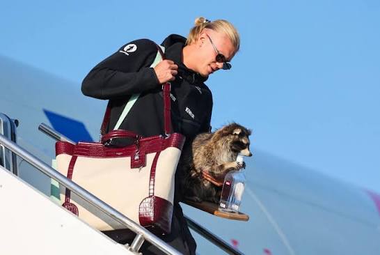 Erling Haaland departing a flight in Norway after the 2026 World Cup carrying an a stuffed racoon.