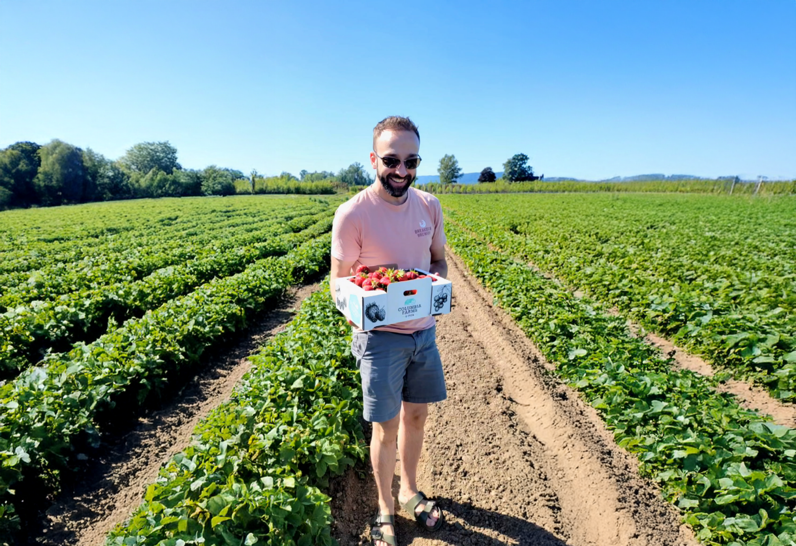 Lance admires a carton of his freshly-picked berries